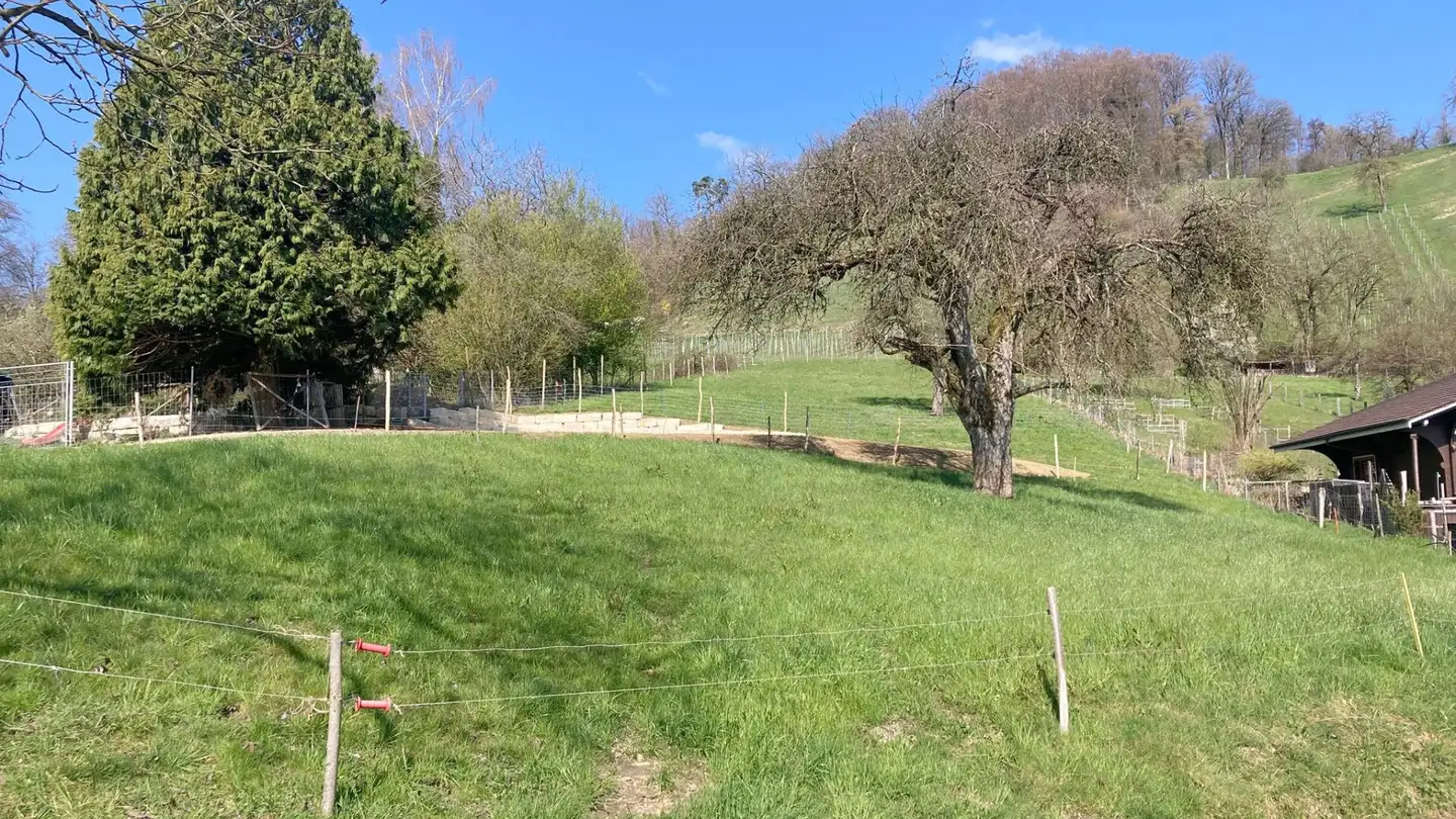 Constructible plot for sale - Sandhübelstrasse, 5505 Brunegg - Photo 2