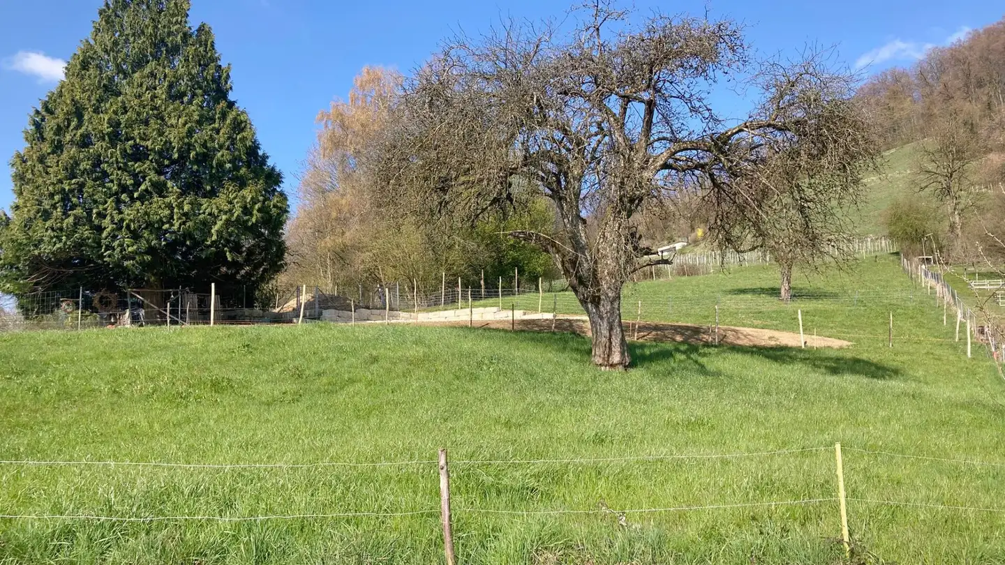 Constructible plot for sale - Sandhübelstrasse, 5505 Brunegg - Photo 3