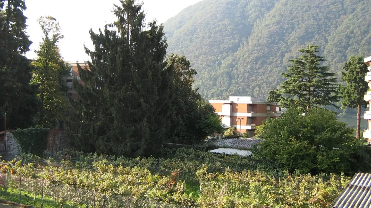 Appartamento in affitto - Viale Stazione, 6817 Maroggia - Photo 4