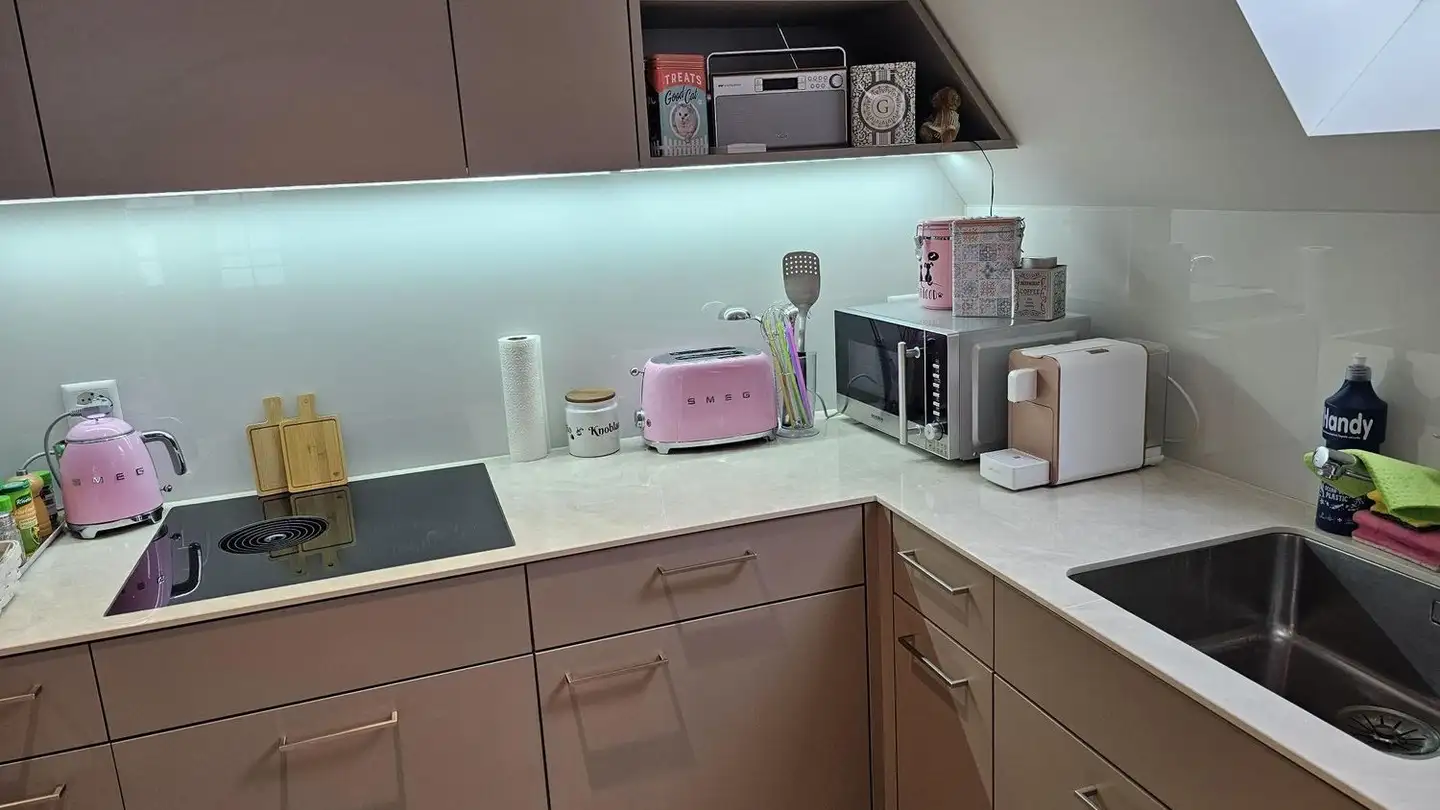 Appartamento in affitto - Albisstrasse 51, 8134 Adliswil