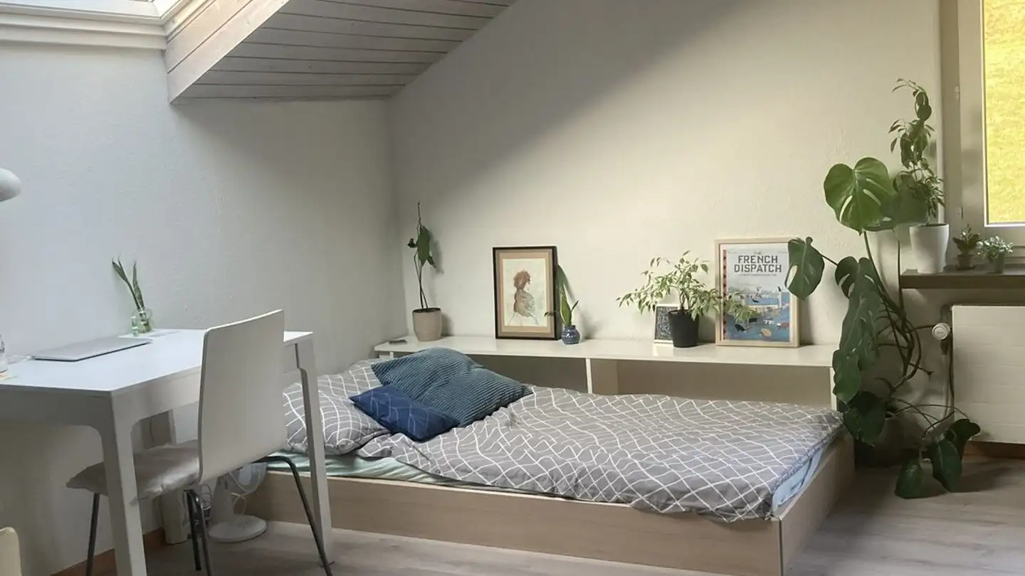 Appartamento in affitto - 8810 Horgen