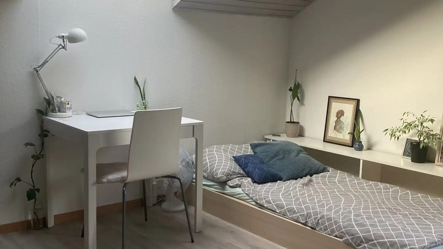 Appartamento in affitto - 8810 Horgen - Foto 2