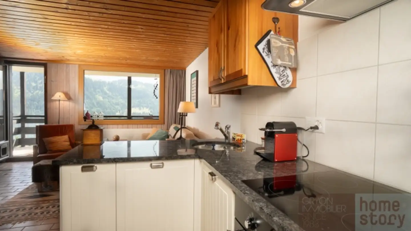 Appartamento in vendita - Chemin Des Arsets, 1882 Gryon - Photo 3