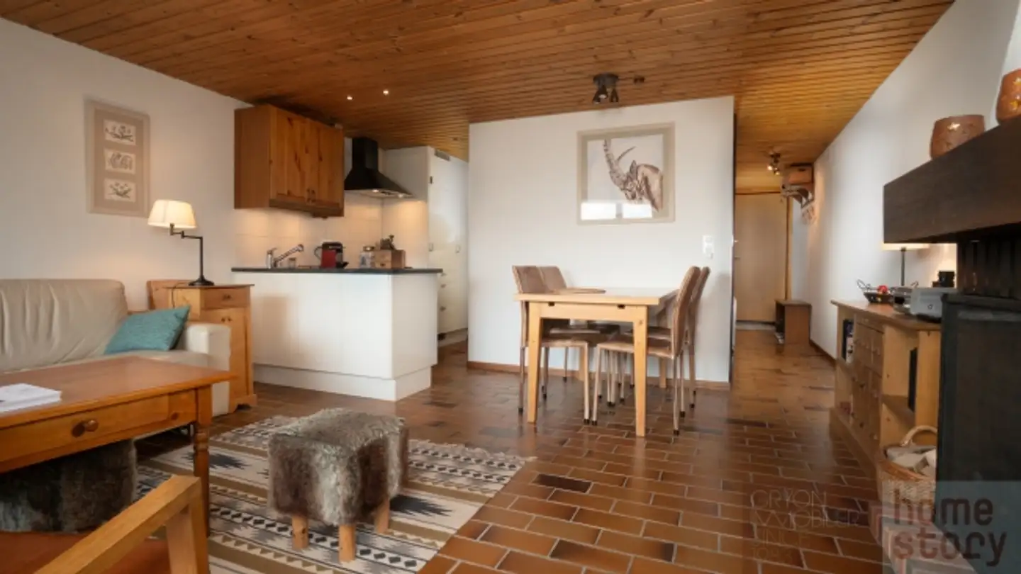 Appartamento in vendita - Chemin Des Arsets, 1882 Gryon - Photo 4