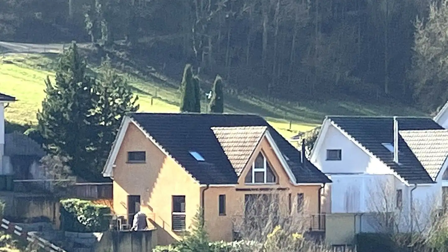 Maison individuelle à vendre - Hollengarten 25, 4202 Duggingen