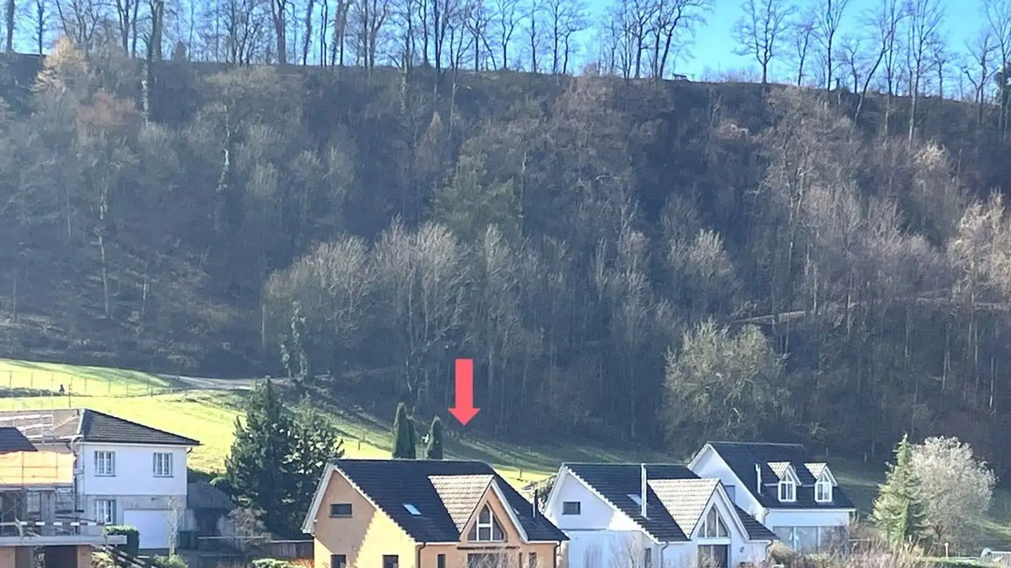 Maison individuelle à vendre - Hollengarten 25, 4202 Duggingen - Photo 2