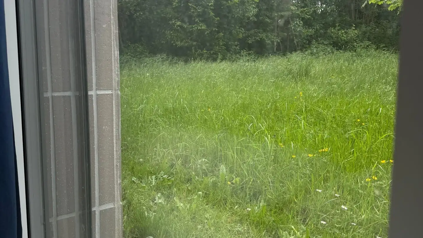 Appartement en terrasse à louer - Baselmattweg 47, 4123 Allschwil - Photo 2