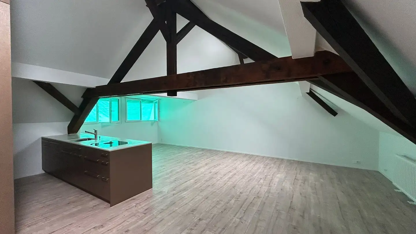 Attico in affitto - Riehenstrasse 24, 4058 Basel - Foto 3