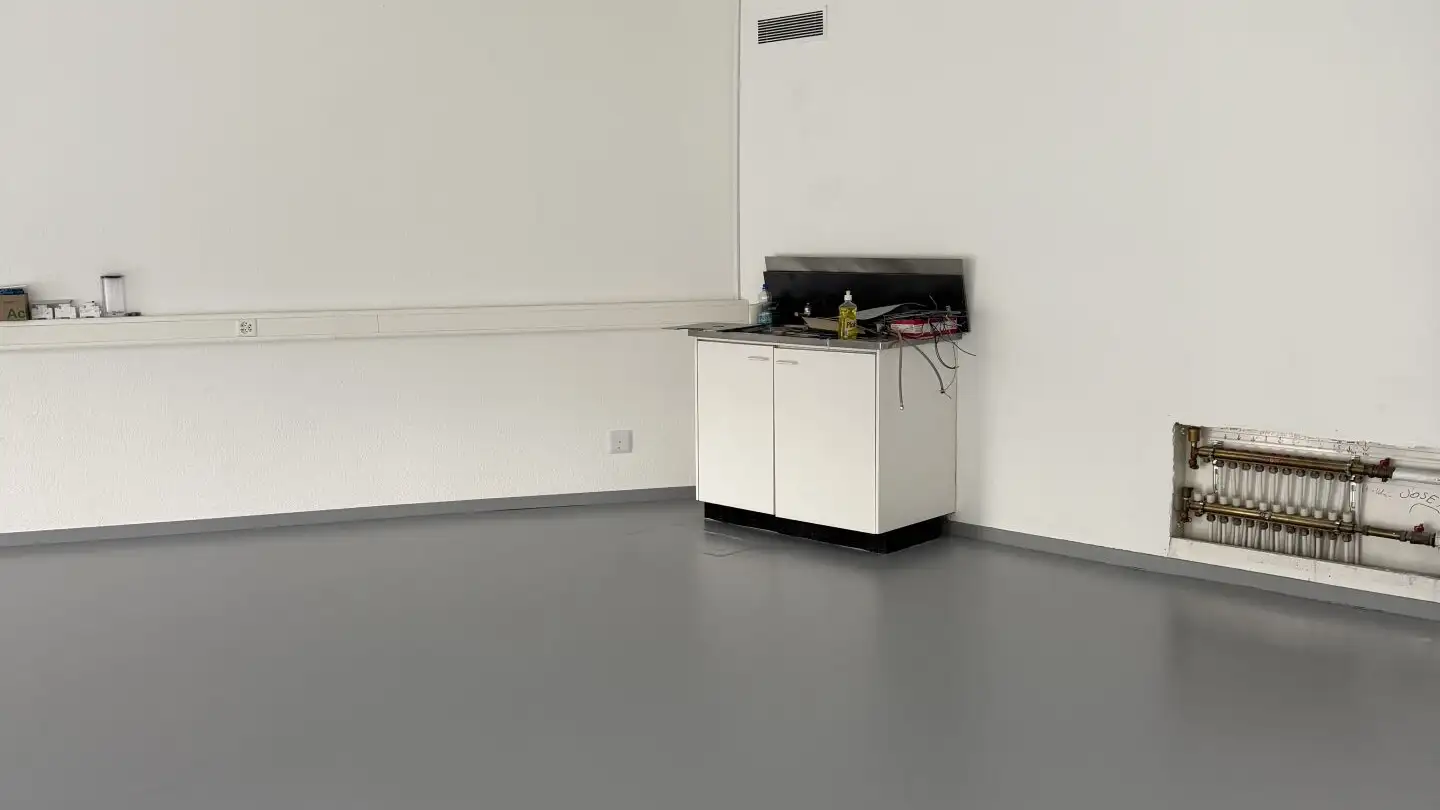 Gewerbe mieten - Route Du Petit Eysins 1, 1262 Eysins - Foto 2