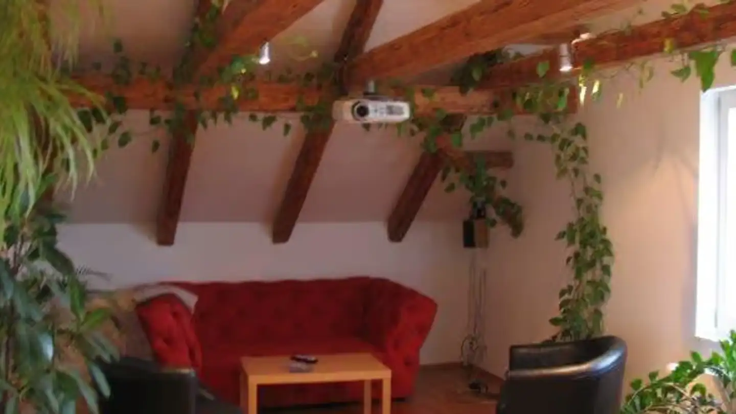 Attic flat for rent - Herferswilerstrasse 2, 8911 Rifferswil - Photo 2