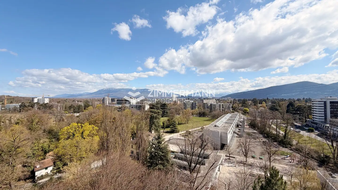 Attique à vendre - Plateau de Frontenex, 1223 Cologny - Photo 2