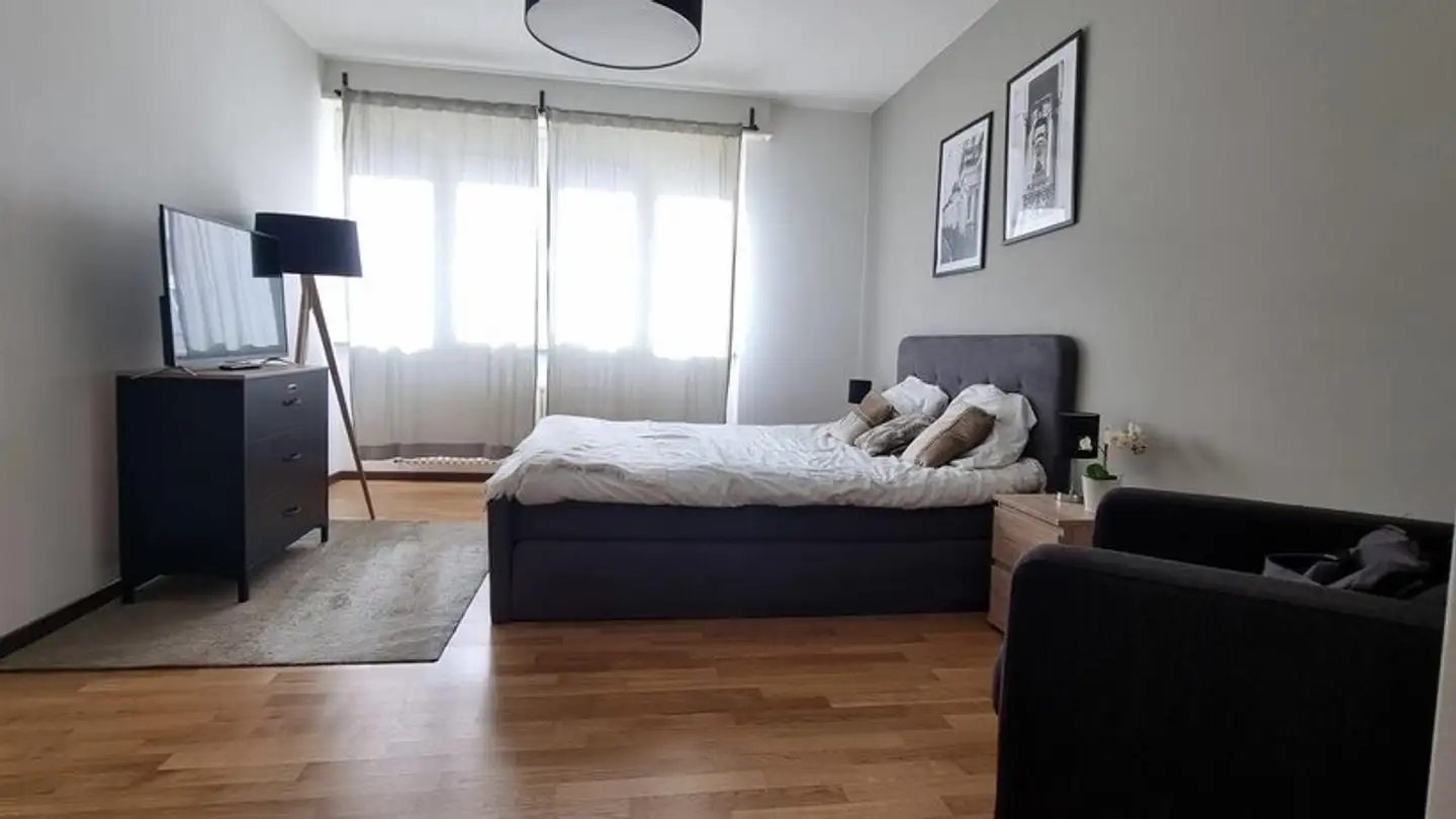 Möblierte Wohnung mieten - Rue Charles- Cusin, 1201 Genève