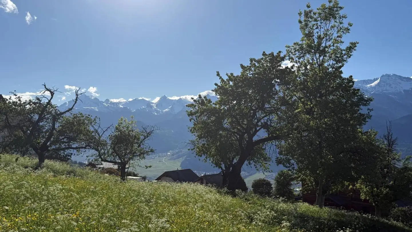 Apartment for sale - Chemin Du Coire, 1993 Veysonnaz