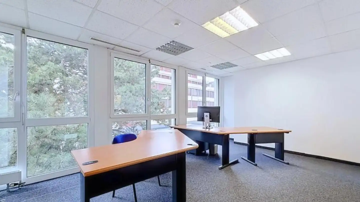 Commercial for sale - 1023 Crissier - Photo 4