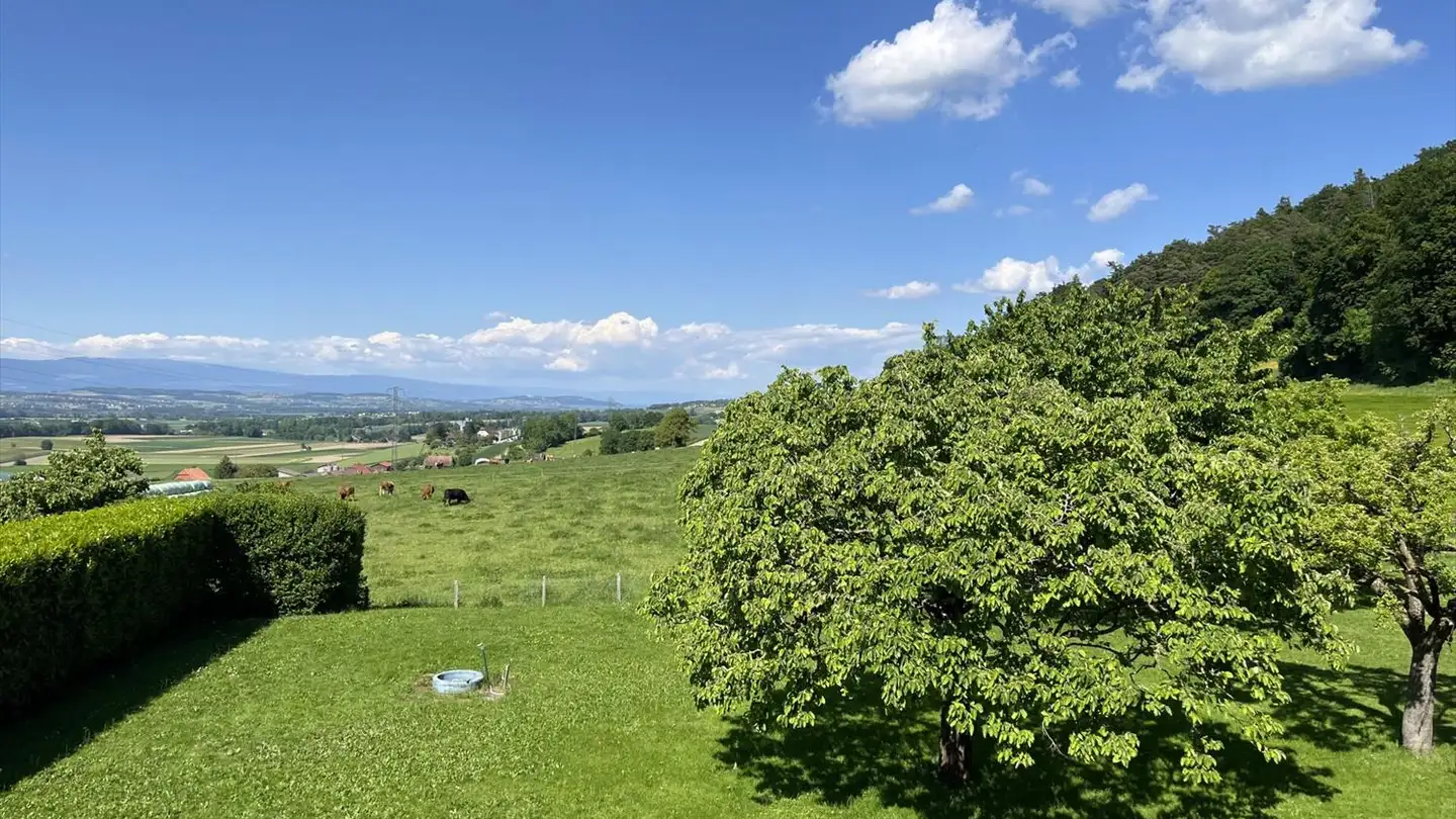 Casa singola in vendita - 1530 Payerne - Photo 3