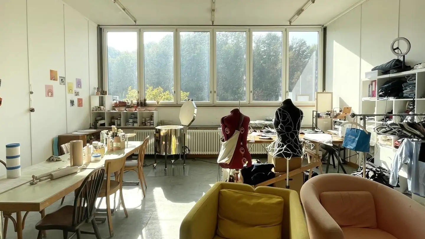 Commercial à louer - 8200 Schaffhausen