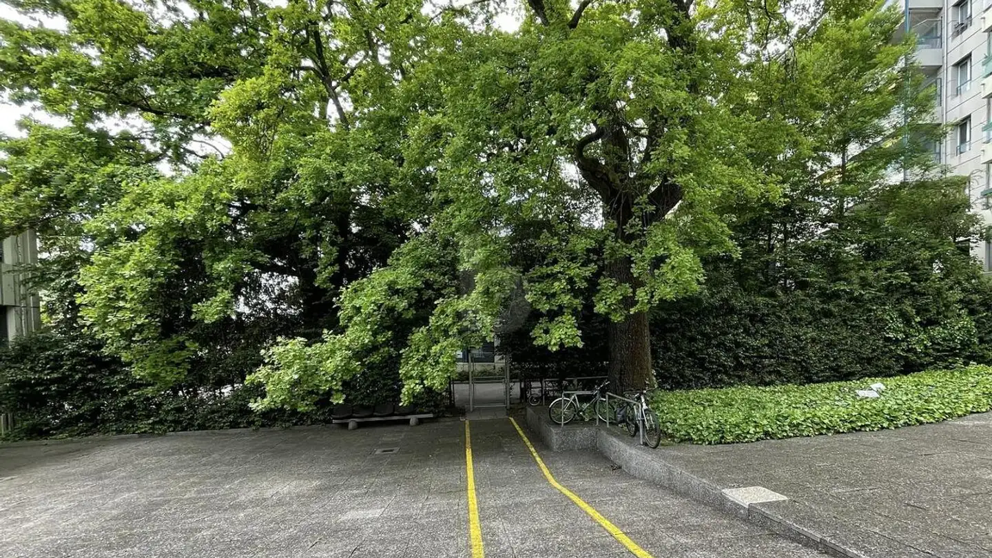 Spazio ufficio in affitto - 1219 Châtelaine - Photo 3