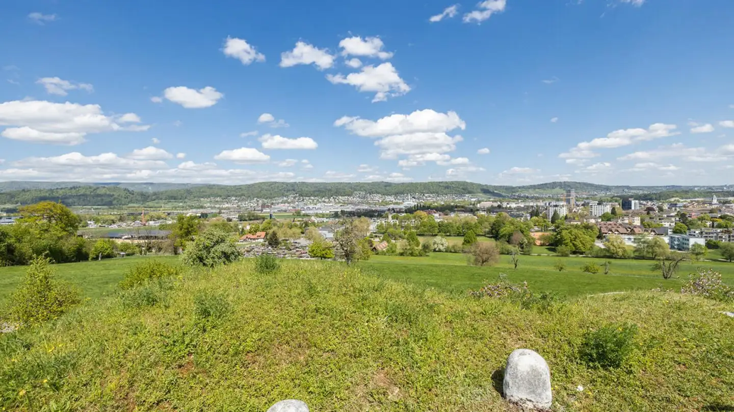 Maison atypique à vendre - Lättenstrasse 38, 8953 Dietikon - Photo 2