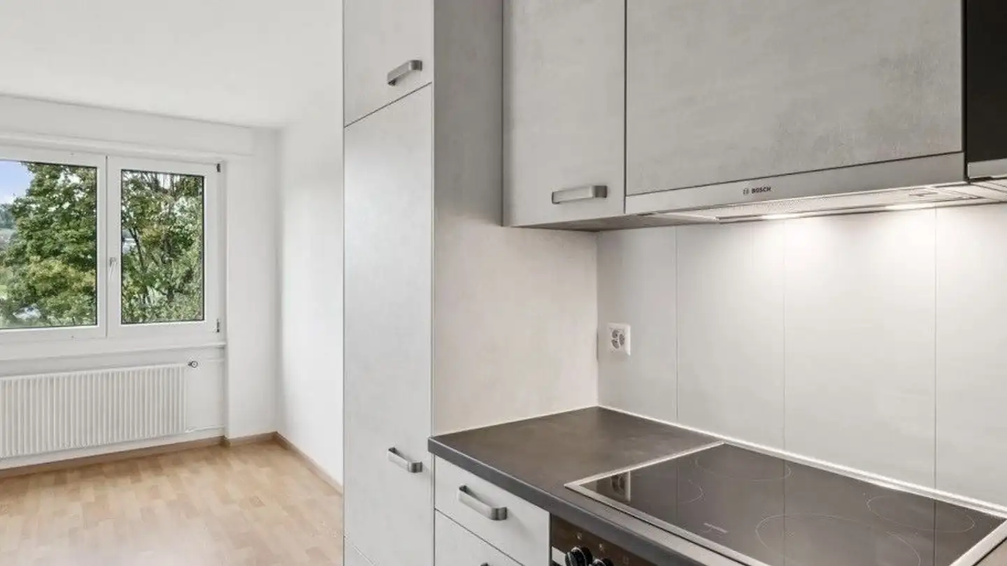 Appartamento in affitto - 5507 Mellingen