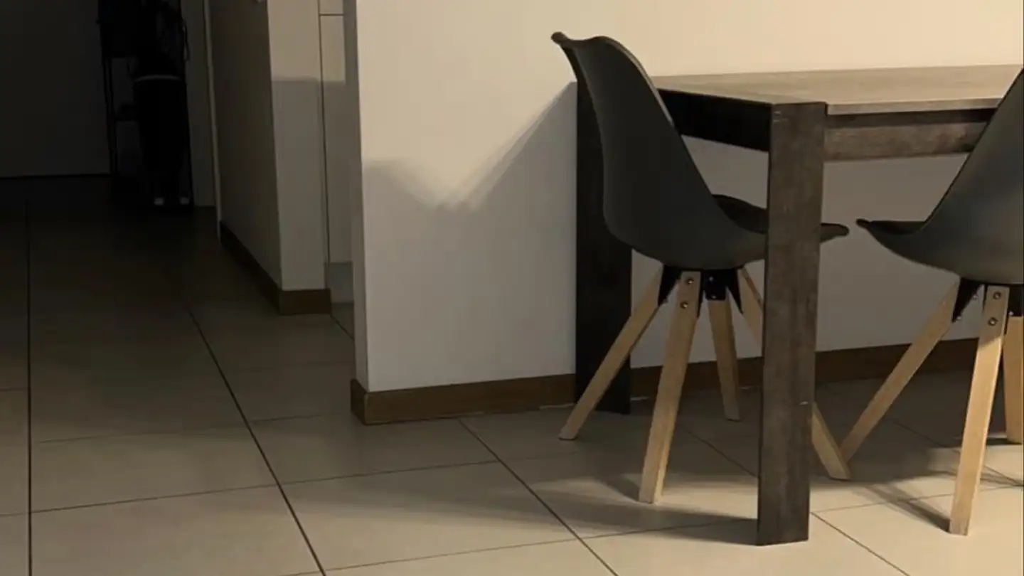 Appartement à louer - Via al Pascolo 1, 6612 Ascona - Photo 2