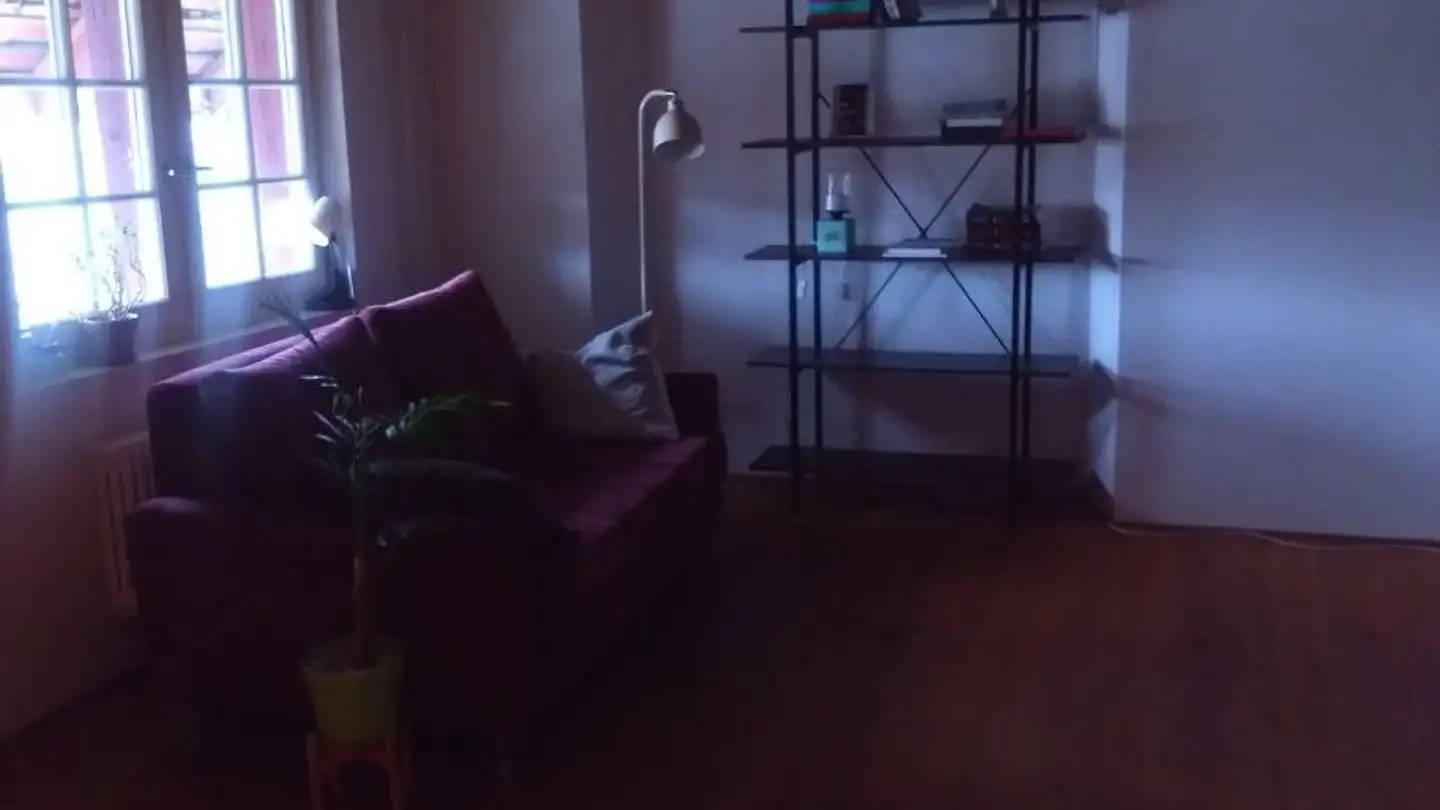 Single room for rent - 8104 Weiningen ZH - Photo 2