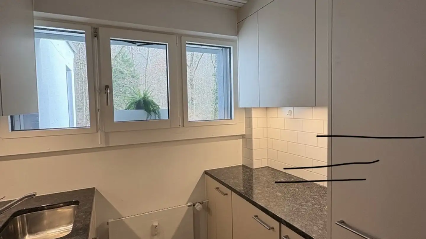 Appartamento in affitto - Rütistrasse, 8134 Adliswil - Foto 3