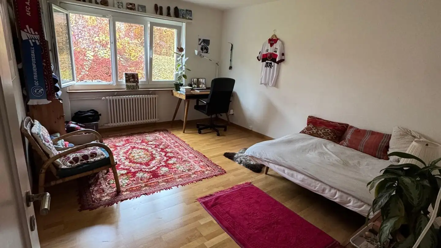 Chambre à louer - Balgriststrasse 80, 8008 Zürich