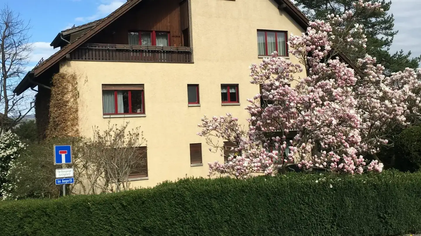 Duplex in affitto - Im Aegertli 9, 8800 Thalwil