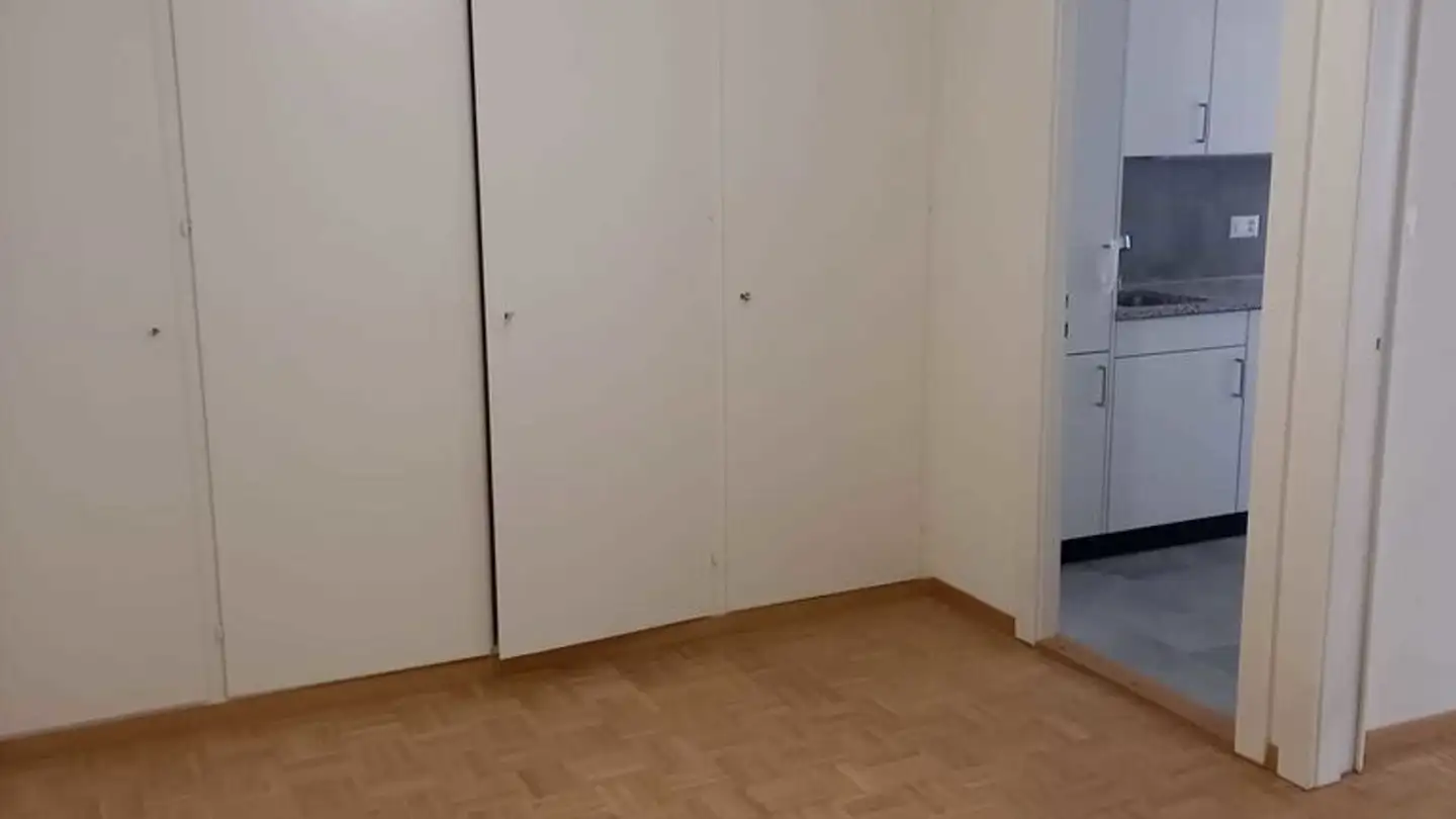 Appartamento in affitto - Rue Du 31-Décembre 35, 1207 Genève