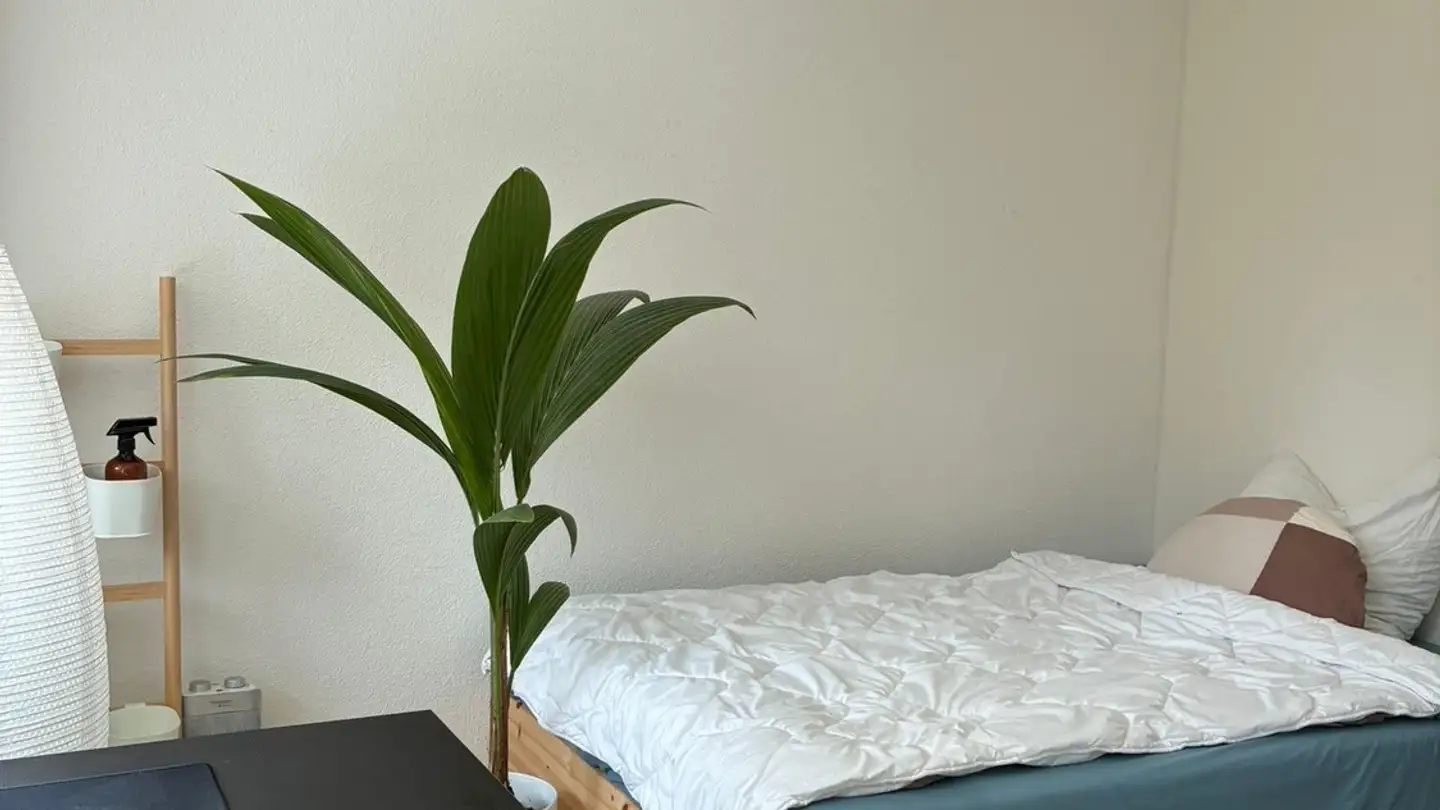 Single room for rent - Im Glockenacker 67, 8053 Zürich - Photo 2