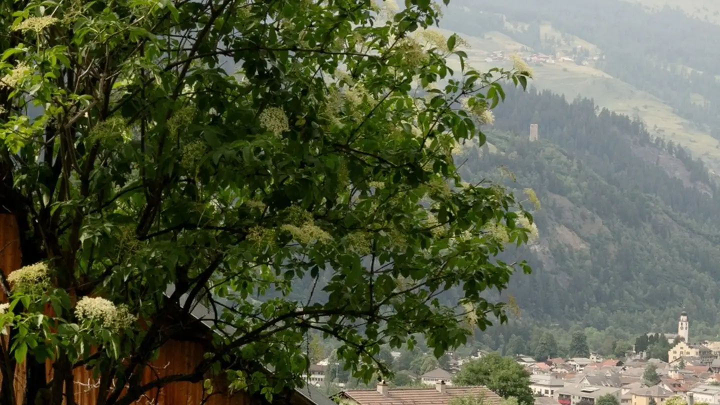 Apartment for rent - Veia Da Balanburtg 23, 7440 Andeer - Photo 3