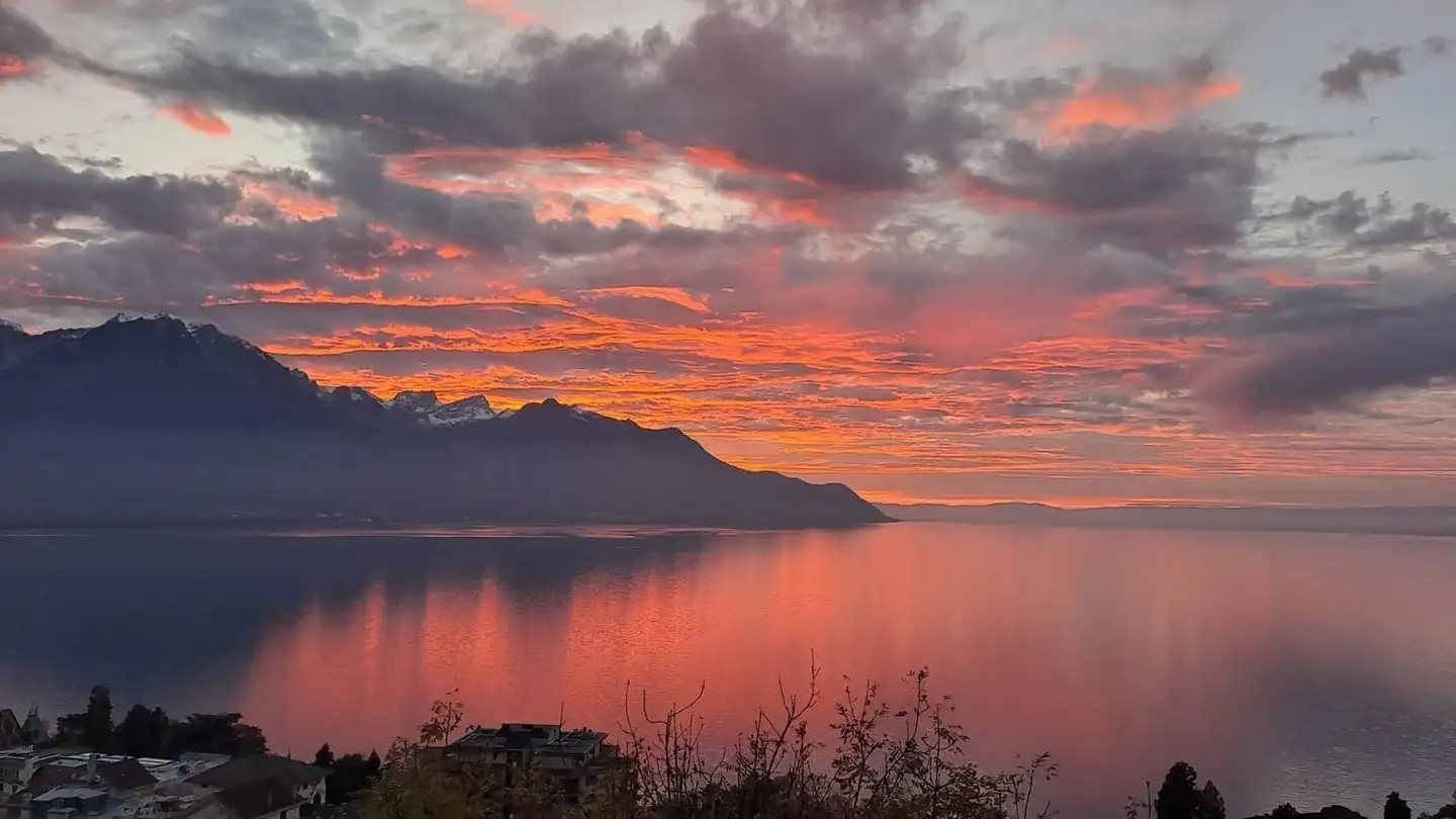 Appartamento in affitto - Avenue De Naye, 1820 Territet - Foto 3