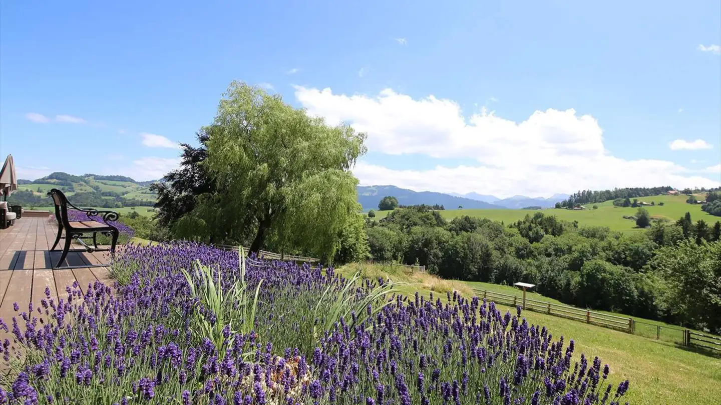 Villa in vendita - 1718 Rechthalten - Photo 2