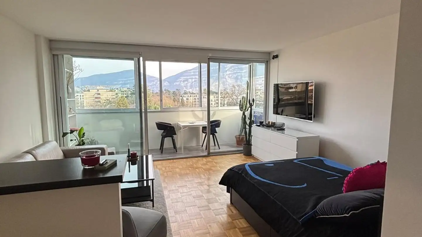 Appartamento in affitto - Route de Florissant, 1206 Genève - Foto 3