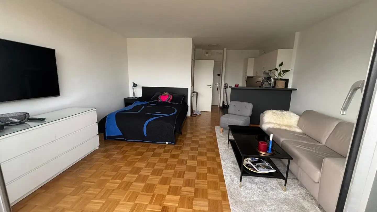 Appartamento in affitto - Route de Florissant, 1206 Genève - Foto 4