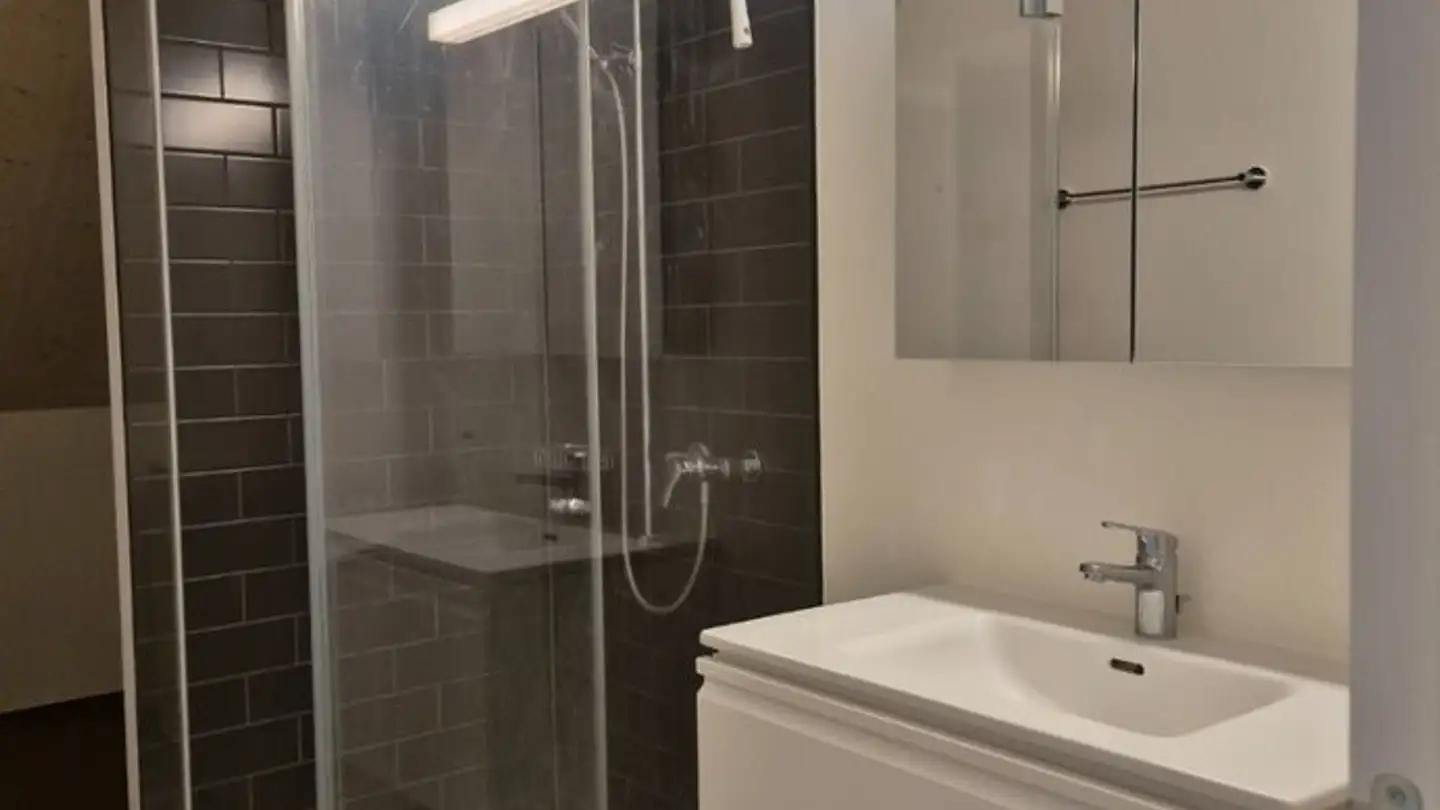 Apartment for rent - 8803 Rüschlikon - Photo 4