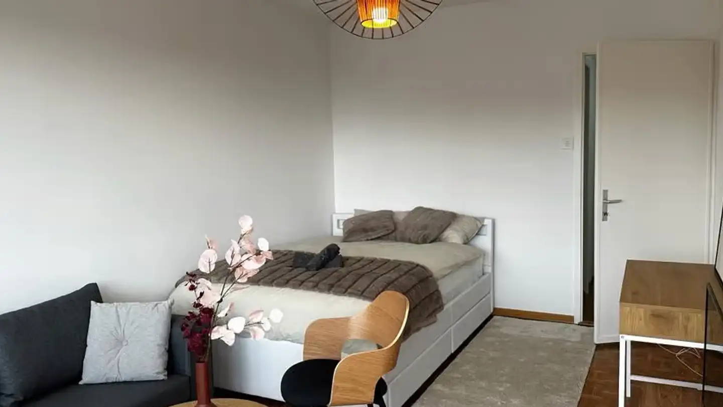 Appartement à louer - Avenue D'ouchy 58, 1006 Lausanne