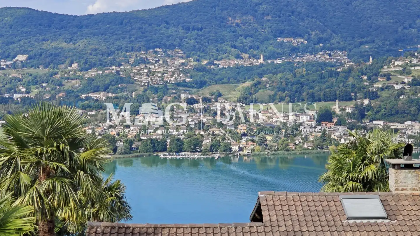 Villa à vendre - 6926 Montagnola - Photo 3