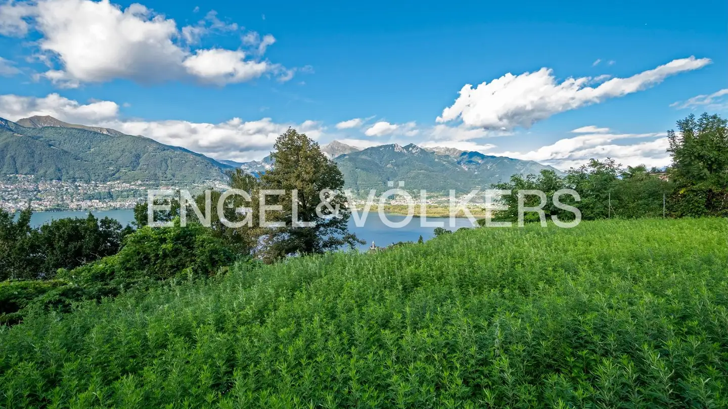 Terreno edificabile in vendita - 6574 Vira (Gambarogno) - Photo 2