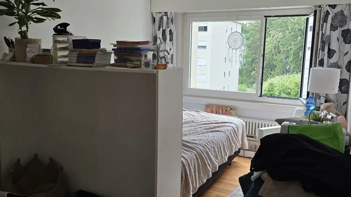 Appartamento in affitto - Kreuzbuchrain 10, 6006 Luzern