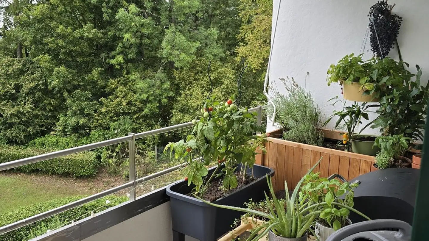 Appartamento in affitto - Kreuzbuchrain 10, 6006 Luzern - Foto 3