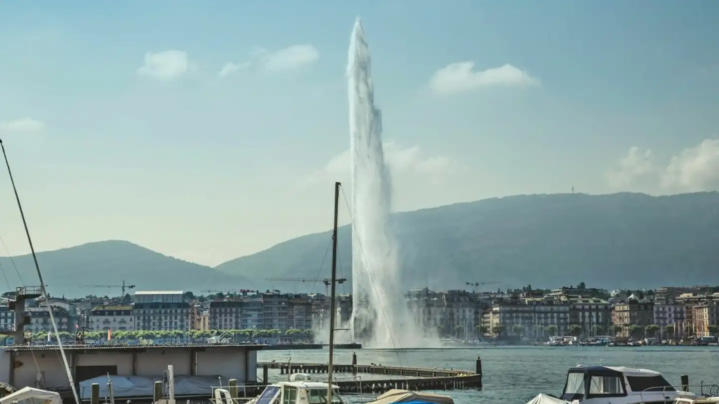 Wohnung mieten - 1206 Genève