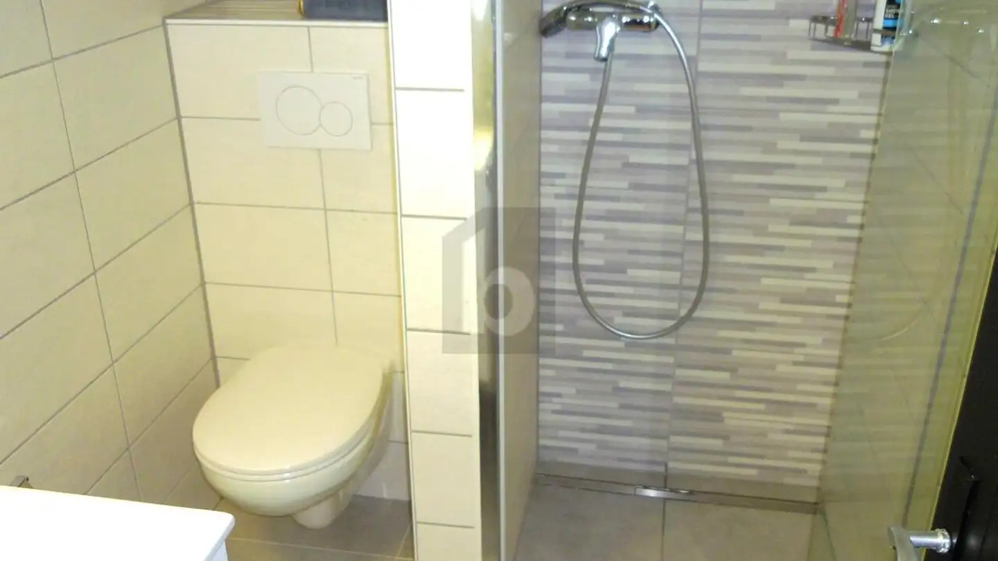 Loft for sale - 1009 Pully - Photo 4