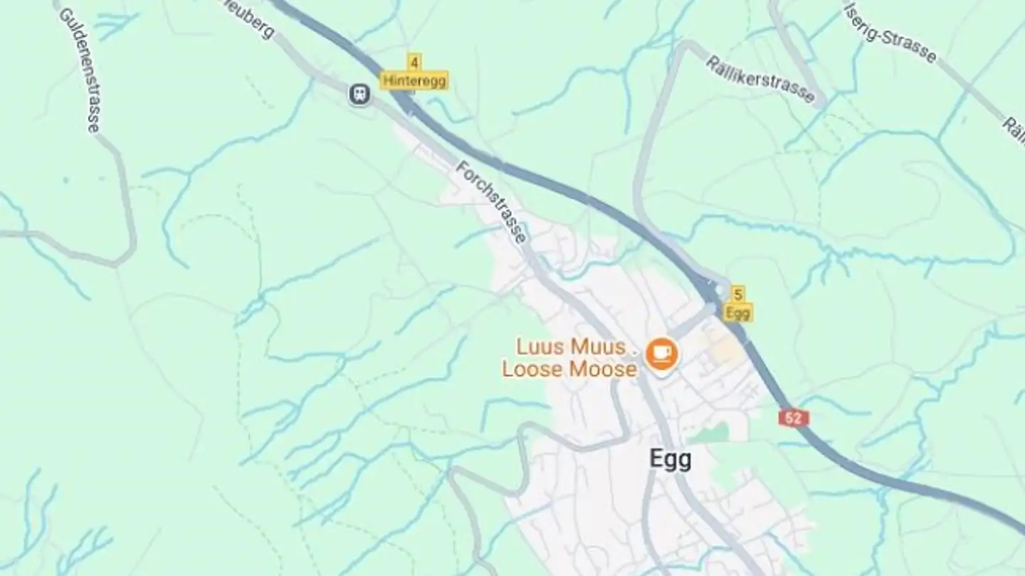 Wohnung kaufen - 8132 Egg b. Zürich