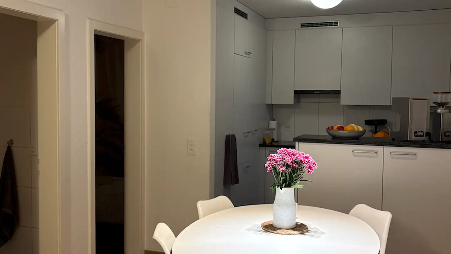 Appartement à louer - 8134 Adliswil