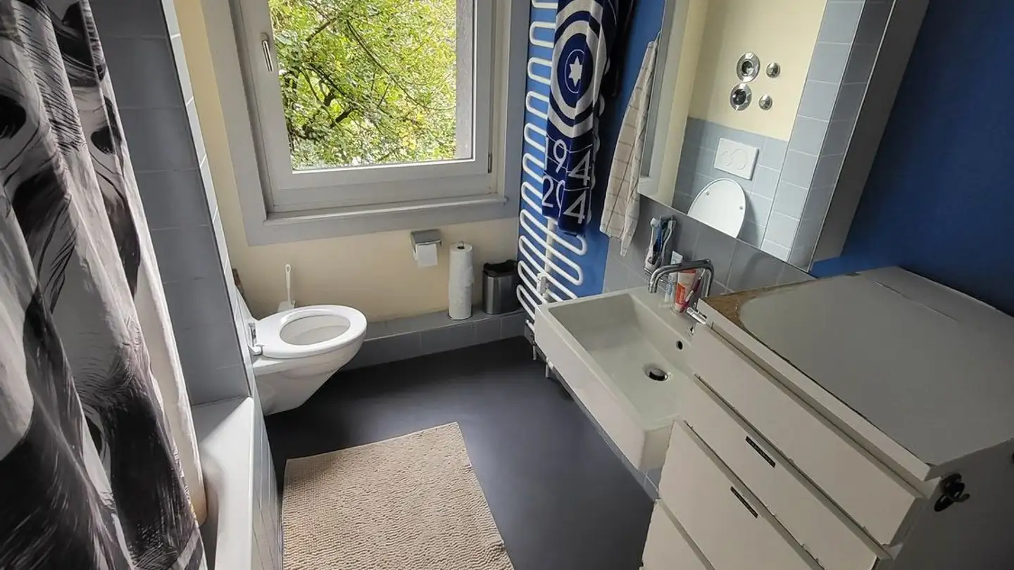 Single room for rent - Schaffhauserstrasse 157, 8400 Winterthur - Photo 4