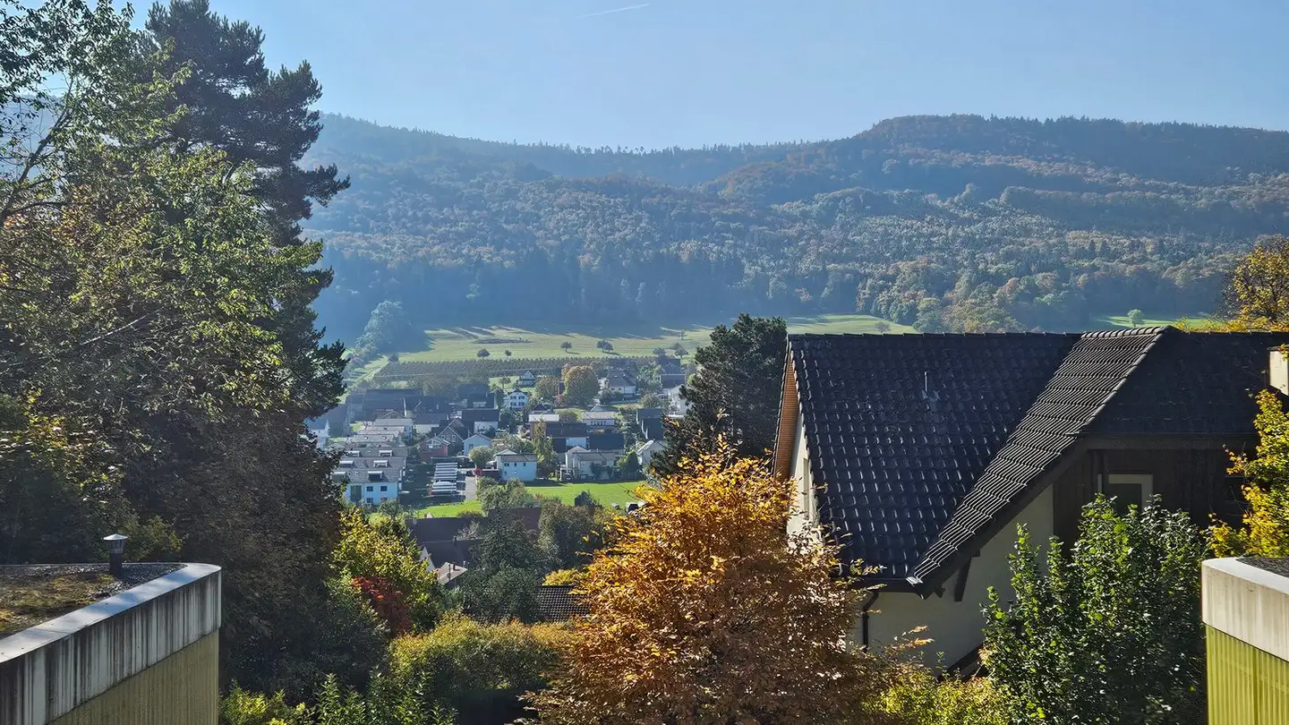 Casa singola in affitto - 4114 Hofstetten SO - Photo 2