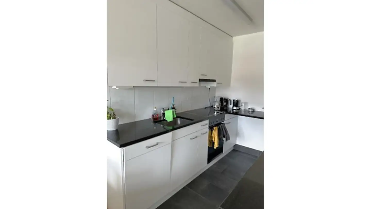 Furnished apartment for rent - 8604 Volketswil - Photo 4