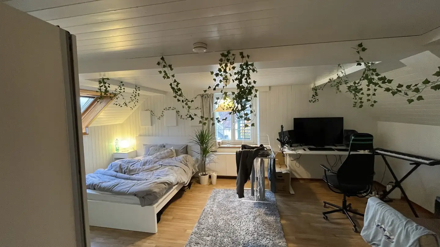 Appartement à louer - Kleindorfstrasse 54, 8707 Uetikon am See