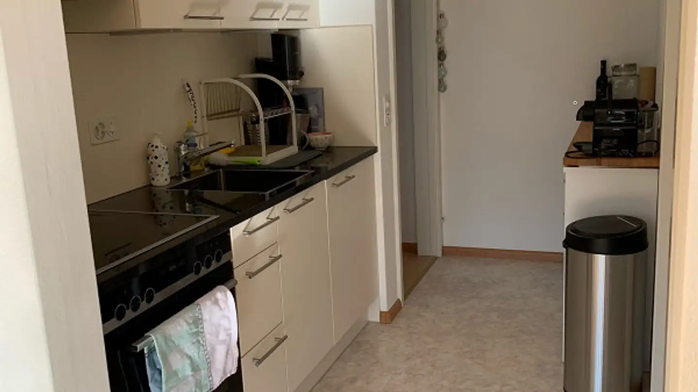 Penthouse for rent - Binningerstrasse 11, 4103 Bottmingen - Photo 3